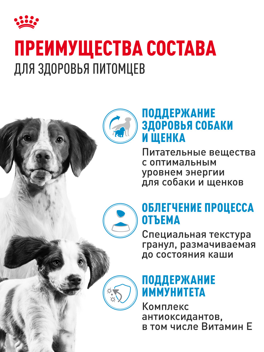 Корм для щенков беременных и кормящих Royal Canin 12кг Medium Starter средних сухой - фото 3