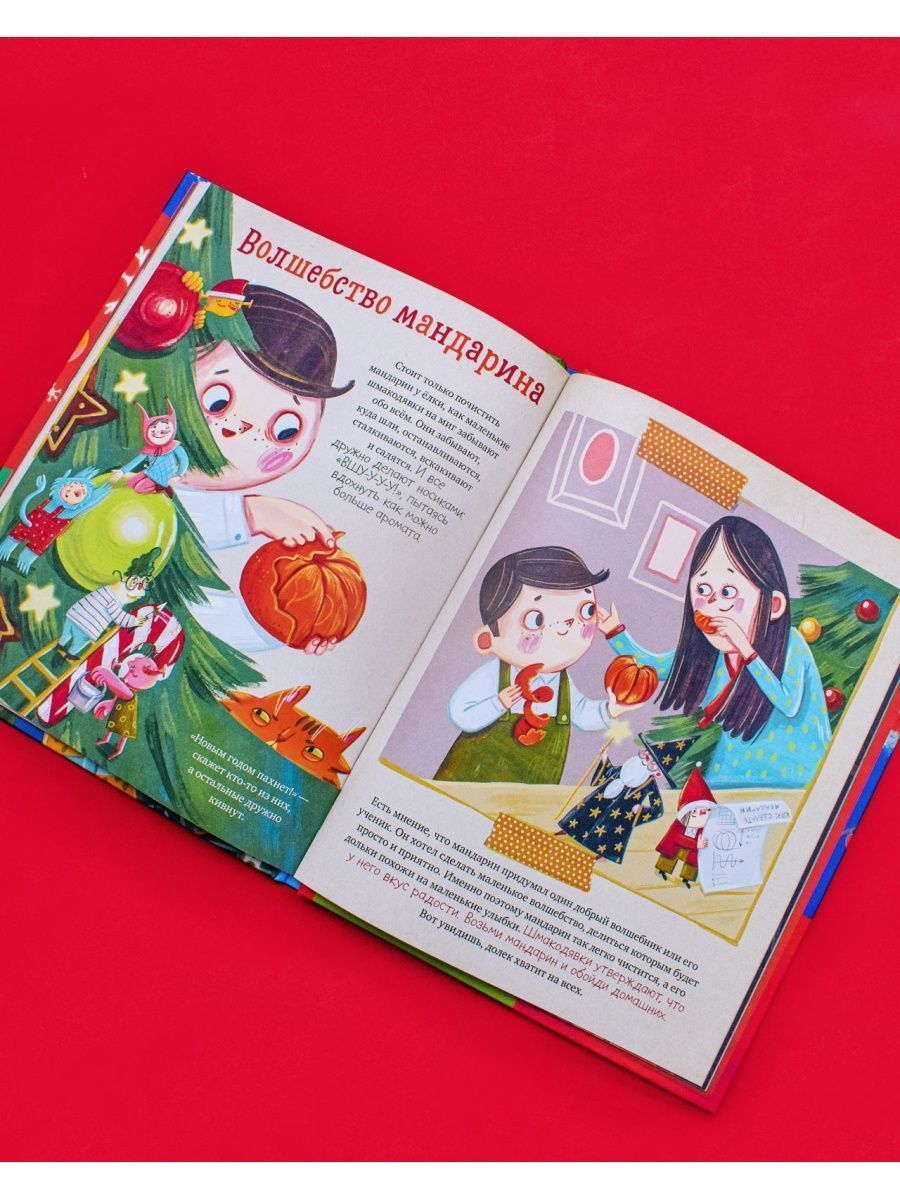 Книга Clever Шмакодявки. Как поймать Деда Мороза - фото 6