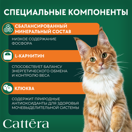 Корм влажный Cattera консервированный полнорационный