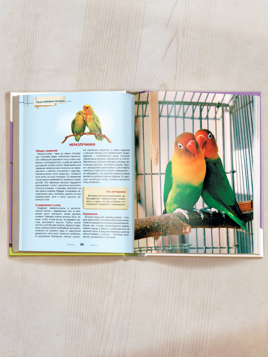 Книга Проф-Пресс Энциклопедия для детей. Наши любимые питомцы - фото 6