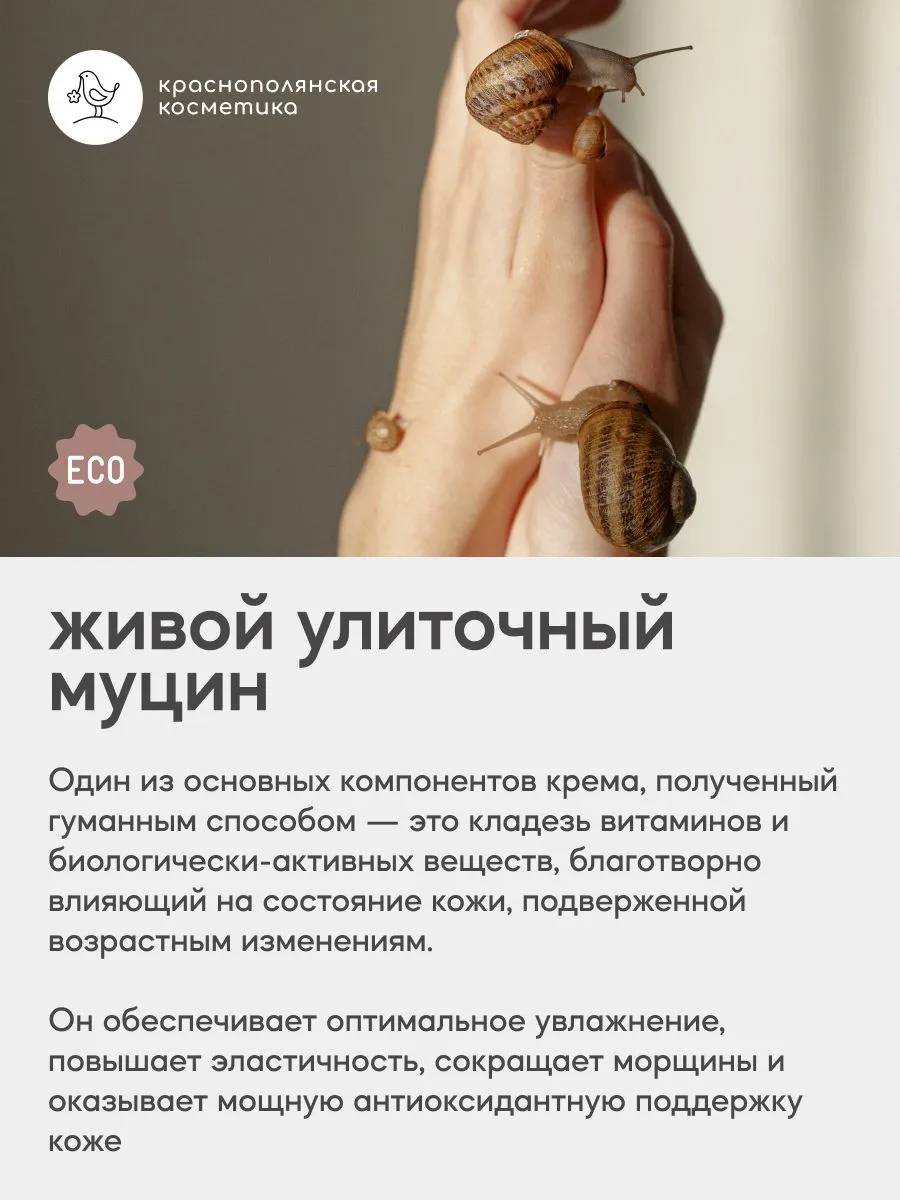 Крем Краснополянская косметика SNAILLAB Муцин и Ниацинамид 30 мл 1 шт. - фото 10