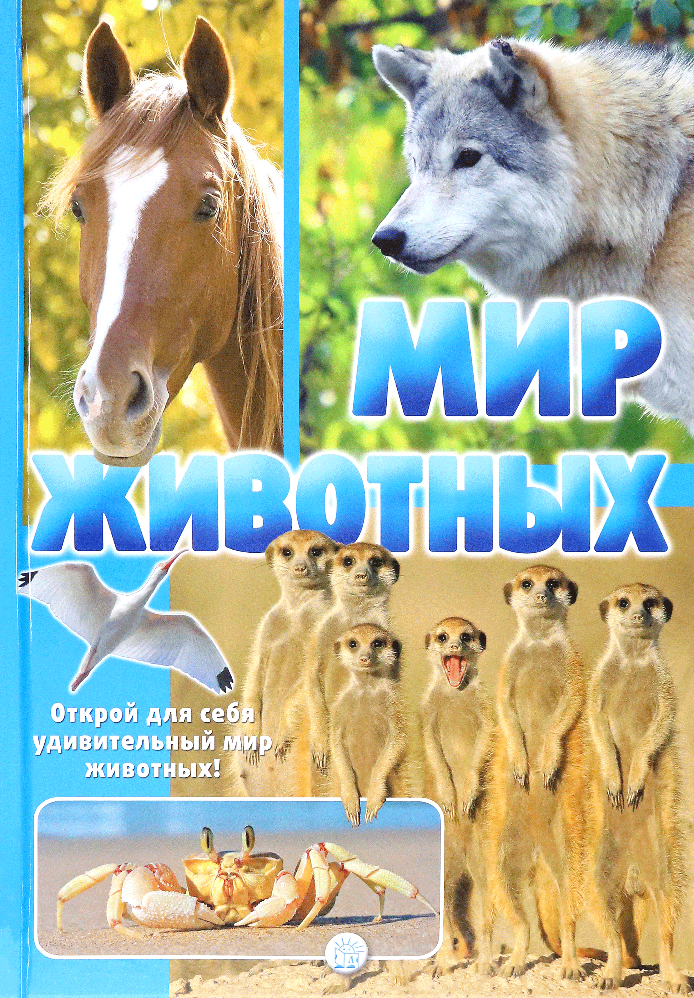 Книга Лабиринт Мир животных Открой для себя удивительный мир животных - фото 1