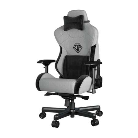 Компьютерное кресло AndaSeat T-Pro 2 XL