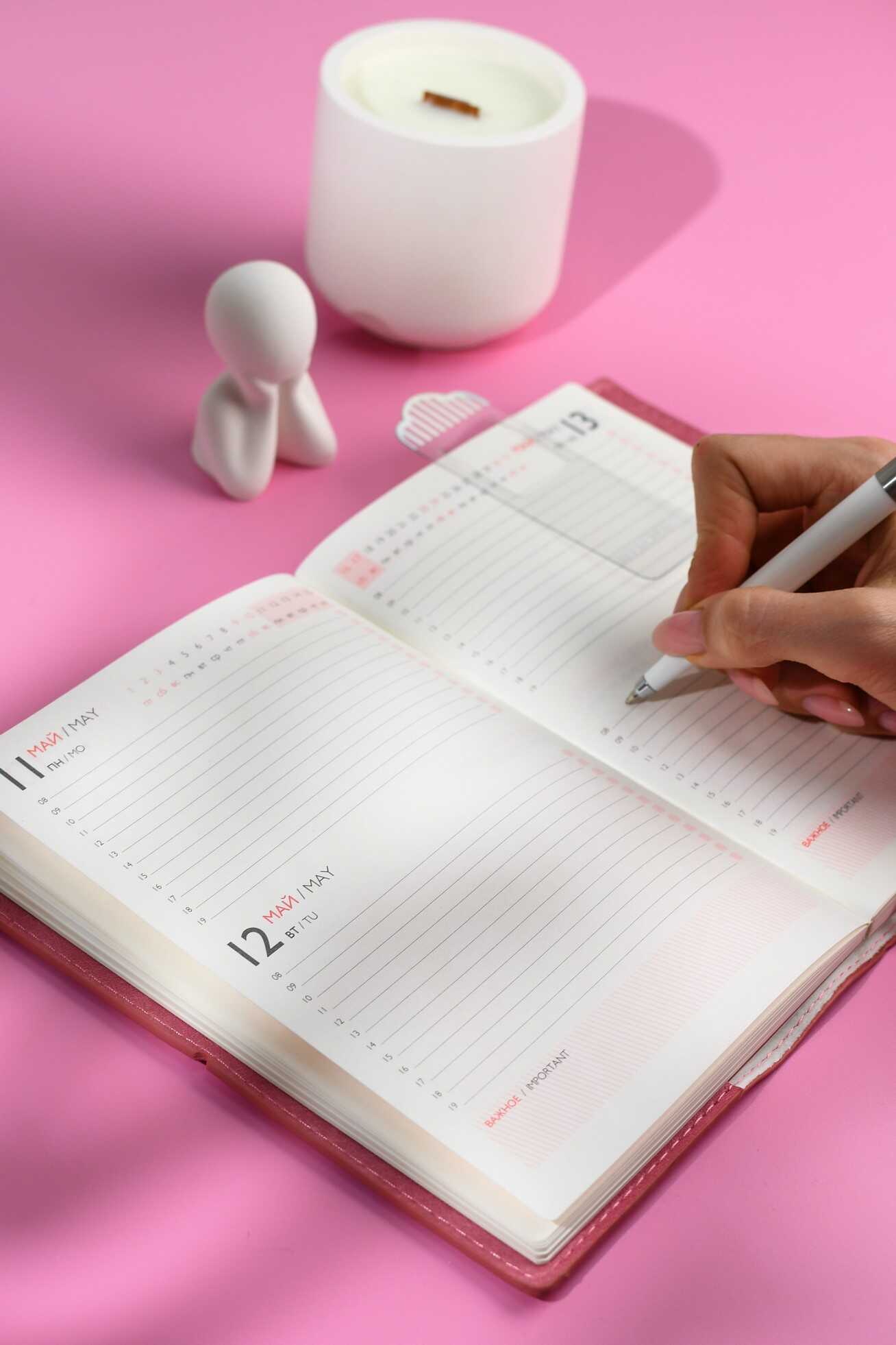 Ежедневник Феникс + ESCALADA 128 лист. - фото 11