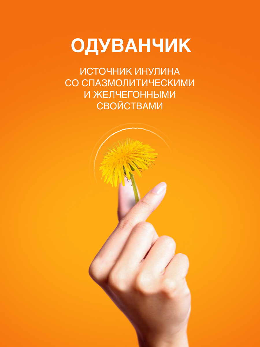 Артишок для печени PLANTCOMPLEX Гепавизим - фото 8