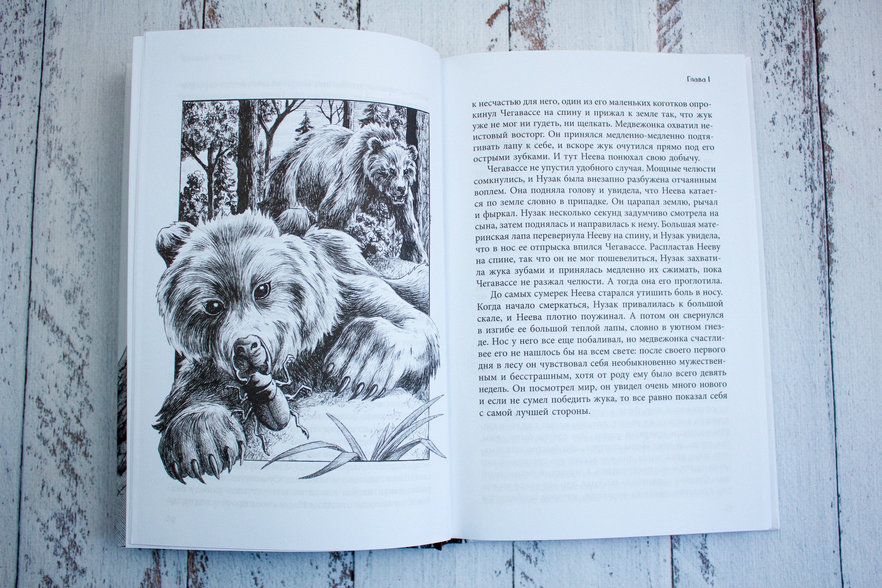 Книга Качели Бродяги Севера - фото 9