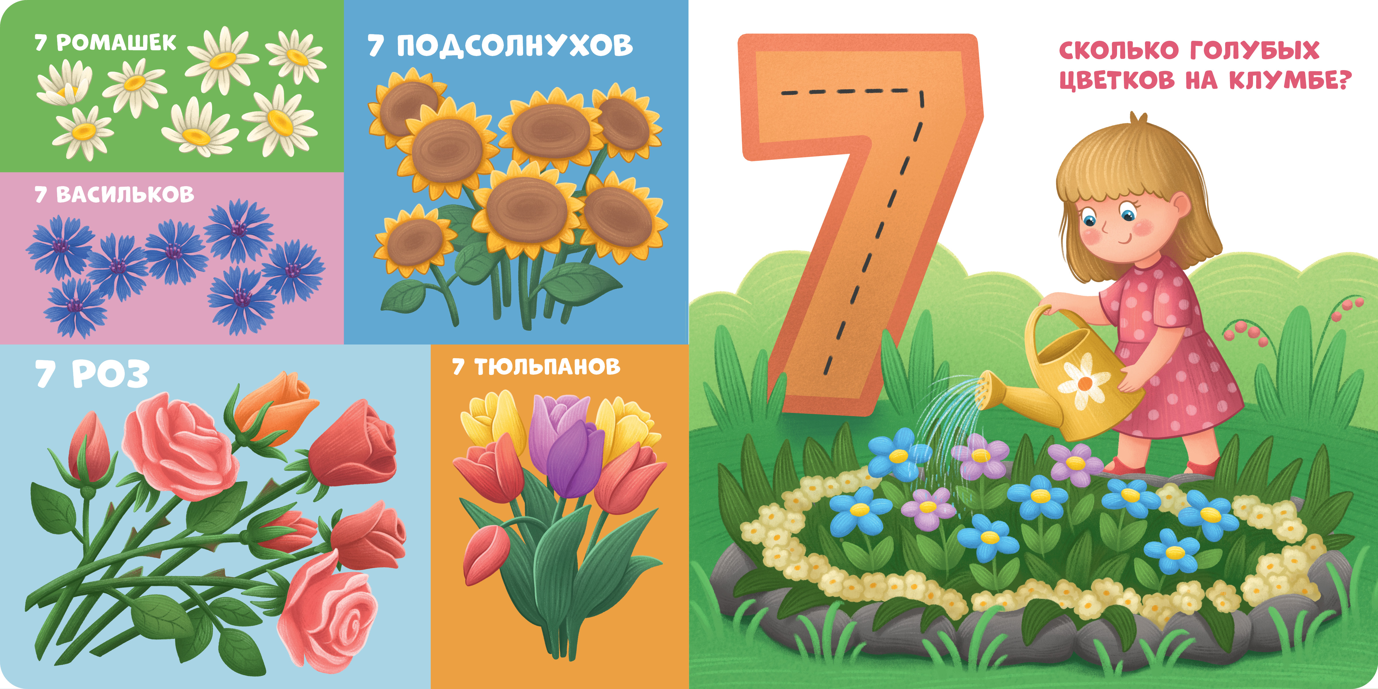 Книжки-картонки Clever Мой первый счет от 1 до 10 - фото 3