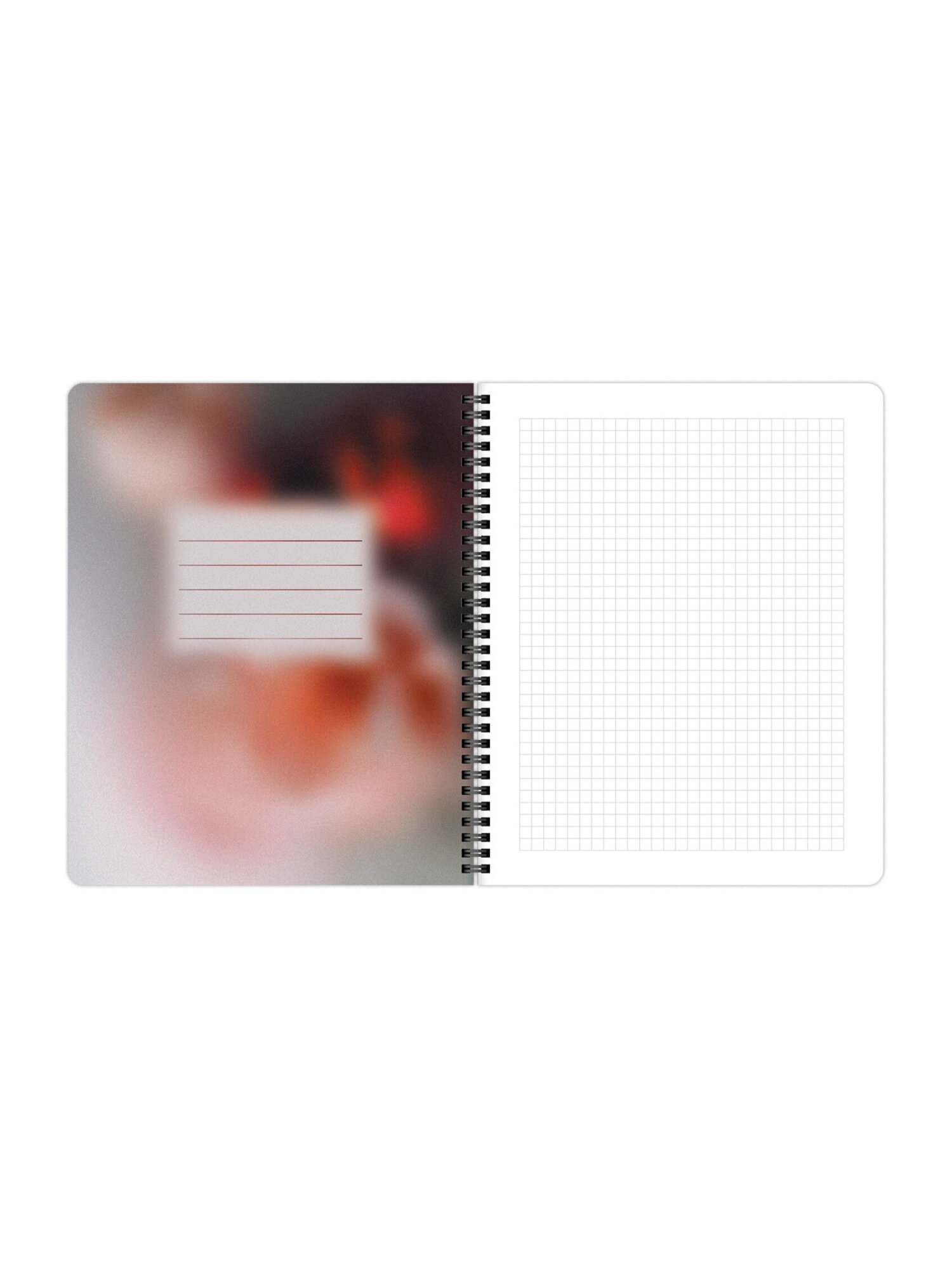 Тетрадь Brauberg клетка 48 лист. 4 шт. - фото 12