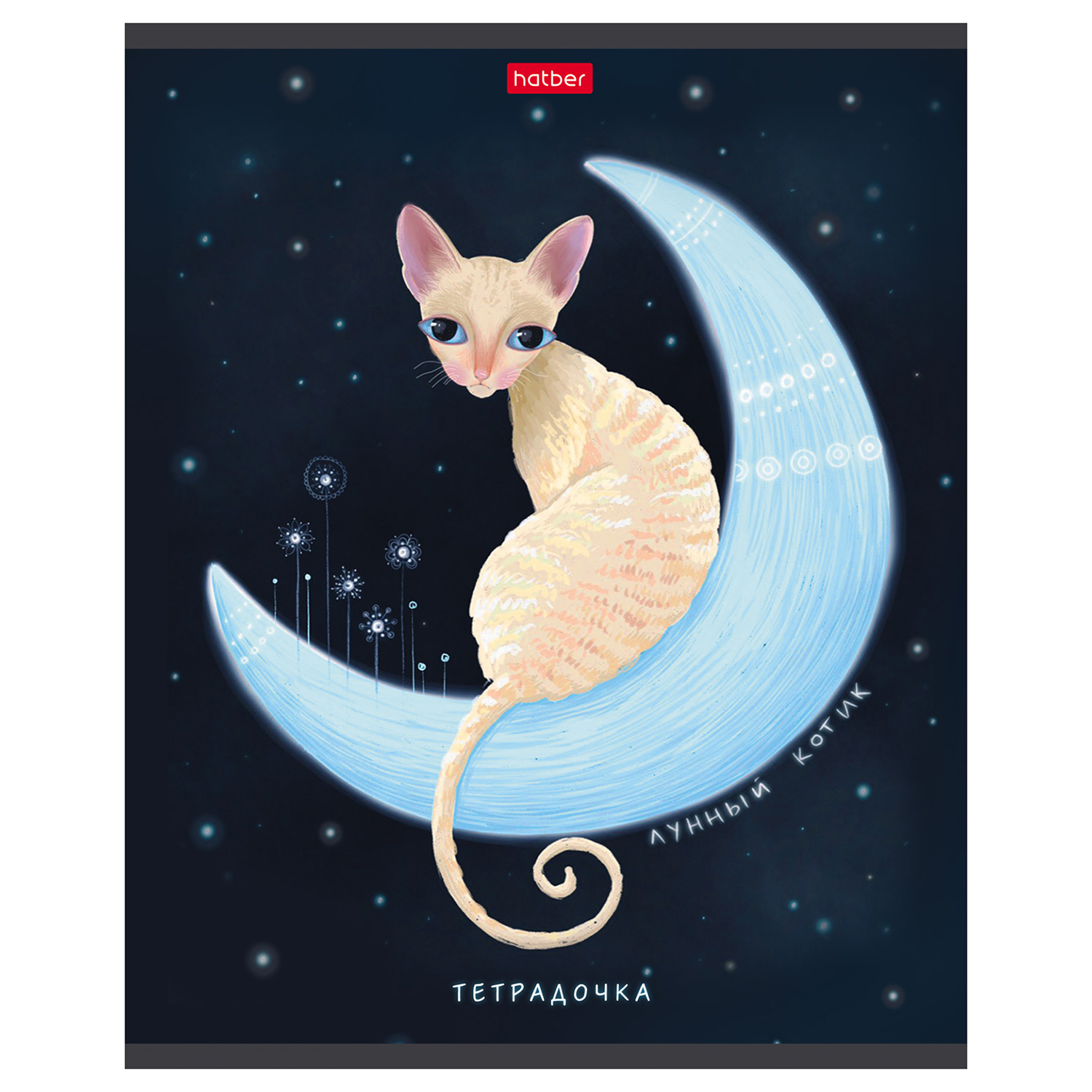 Общая тетрадь Hatber клетка 48 лист. в ассортименте - фото 6