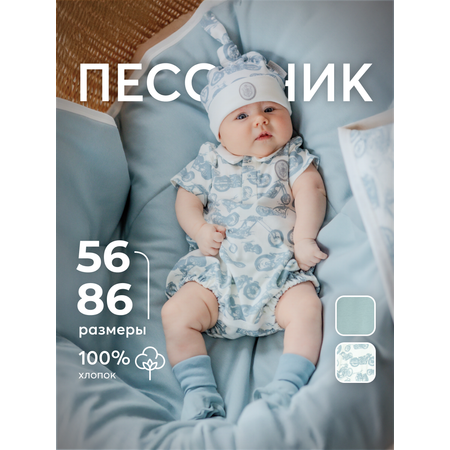 Песочник НаследникЪ Выжанова