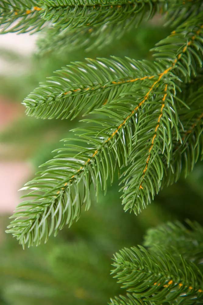 Ель Император Империя Ёлок 210 см - фото 3