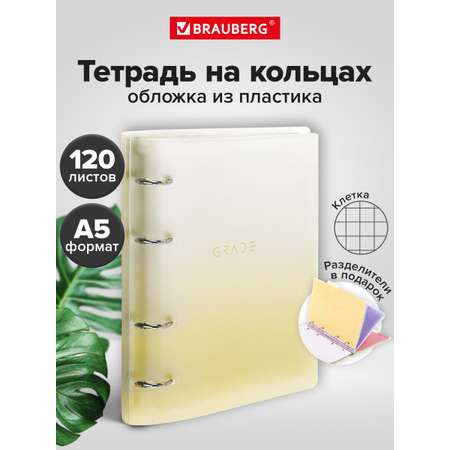 Тетрадь со сменным блоком Brauberg клетка 120 лист.