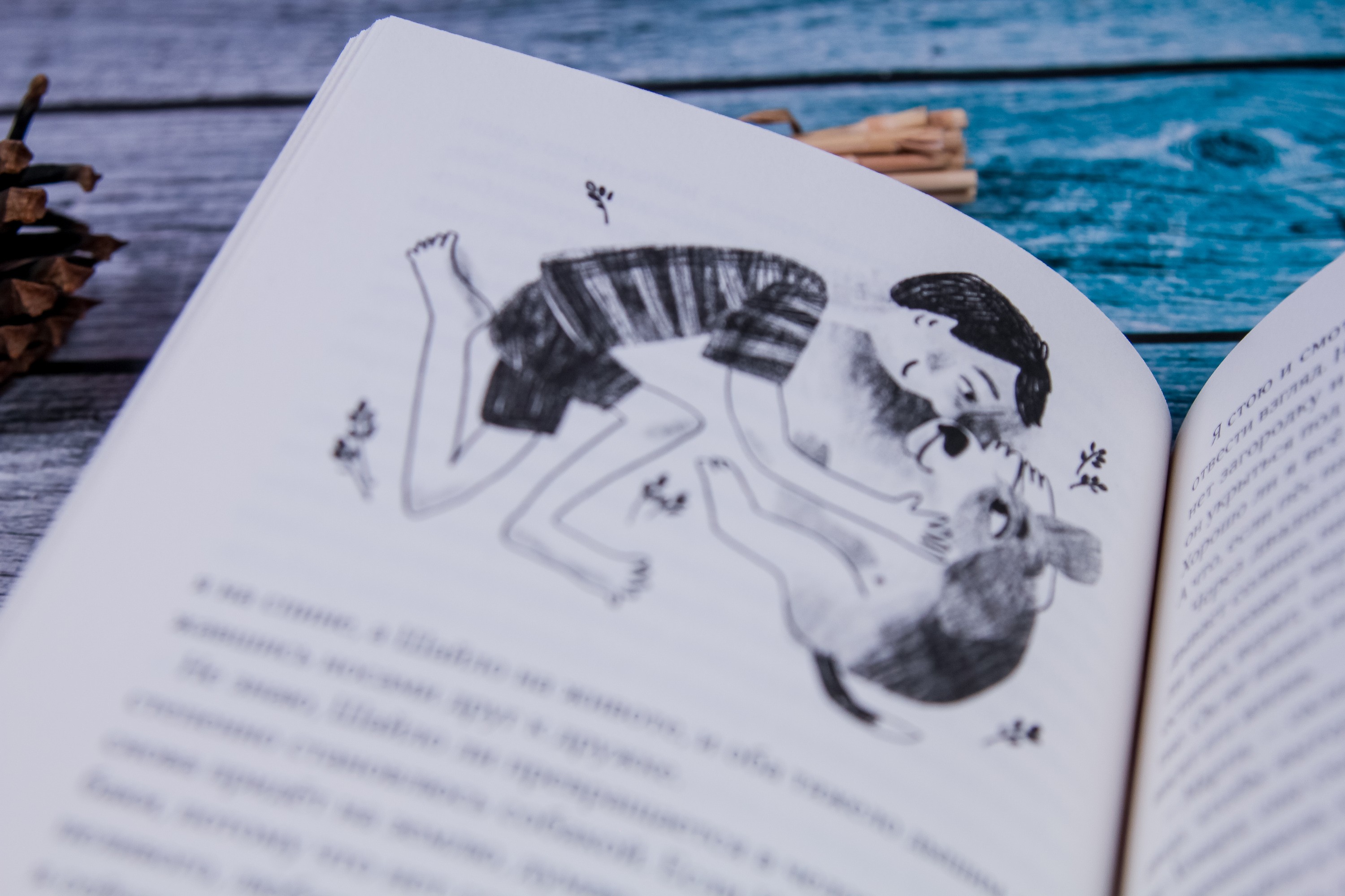 Книга Волчок Шайло - фото 3