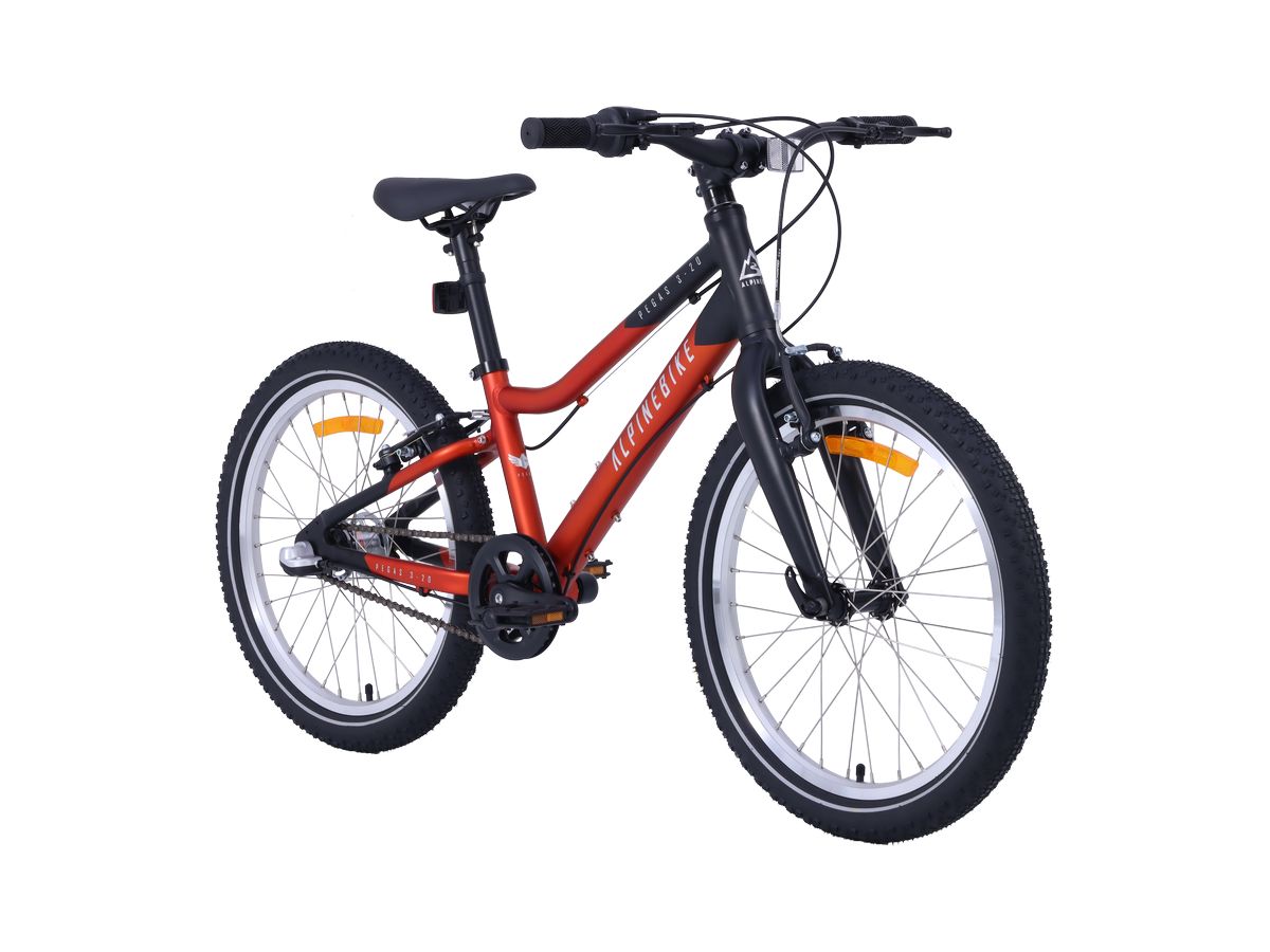 Двухколесный велосипед Alpinebike 20 дюймов - фото 4