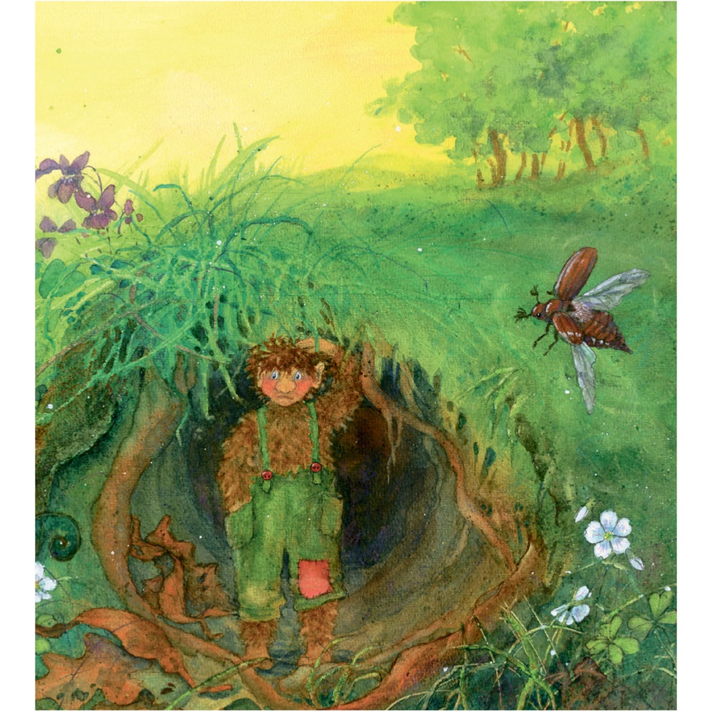 Книга Добрая книга Сморчок маленький тролль. Иллюстрации Даниэлы Дрешер - фото 11