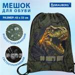 Мешок для обуви Brauberg