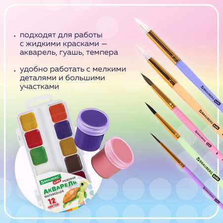 Кисть Brauberg 5 шт. (белка, коза, пони)