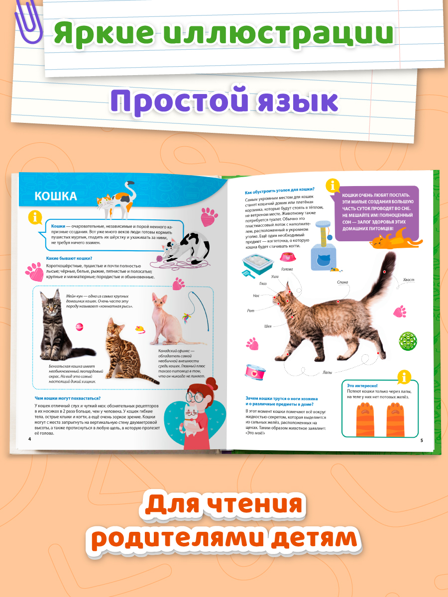 Книга Проф-Пресс Первая детская энциклопедия Всё о домашних питомцах малышам - фото 2