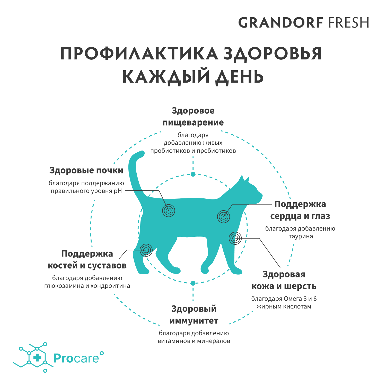 Корм для кошек GRANDORF FRESH Fresh Cat Adult Lamb/Sweet Potato 400г свежее мясо ягненка с бататом беззерн с жив пробиотиками - фото 7