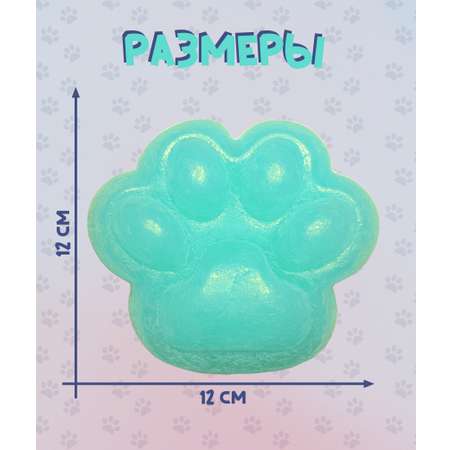 Сквиш КАМЕЛИЯ