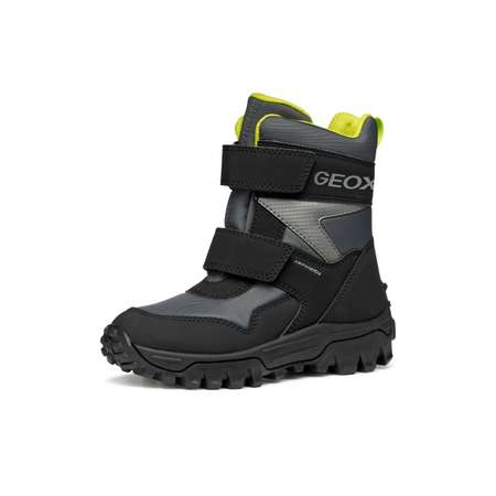 Сапоги GEOX