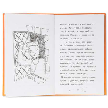 Книга Эксмо Молли маленькая волшебница Магия грустного щенка