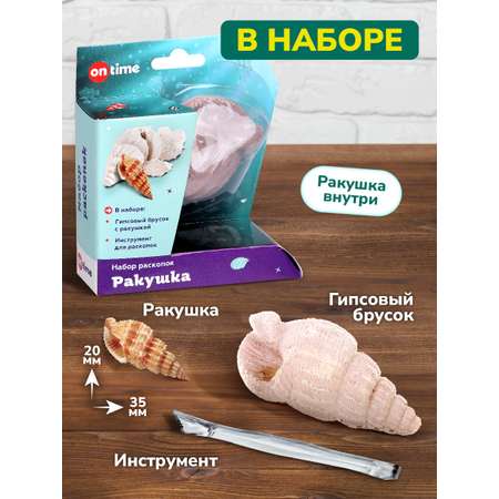 Набор для раскопок ON TIME Ракушка