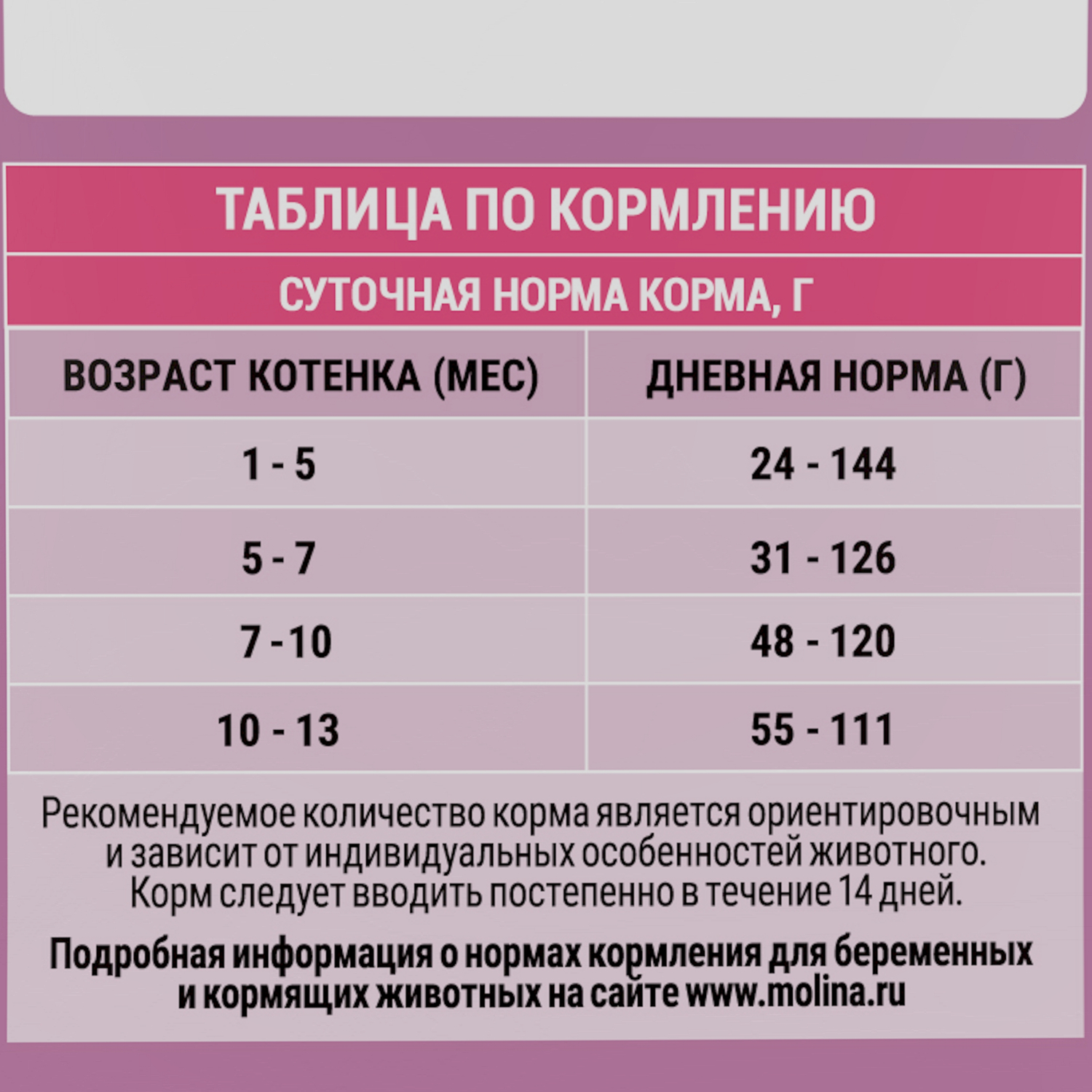 Корм для котят сухой Molina Cat kitten.Chicken with salmon с курицей и лососем 1.5кг - фото 7