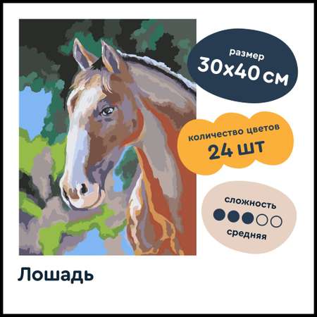 Картина по номерам Junion