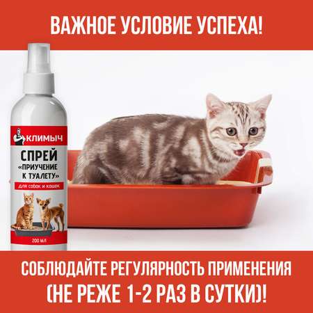 Спрей Приучение к туалету для собак и кошек 200 мл CLM0117
