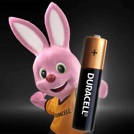 Батарейки Duracell Basic ААA/LR03 2шт