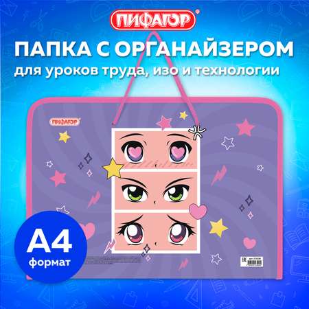 Папка для тетрадей Пифагор А4