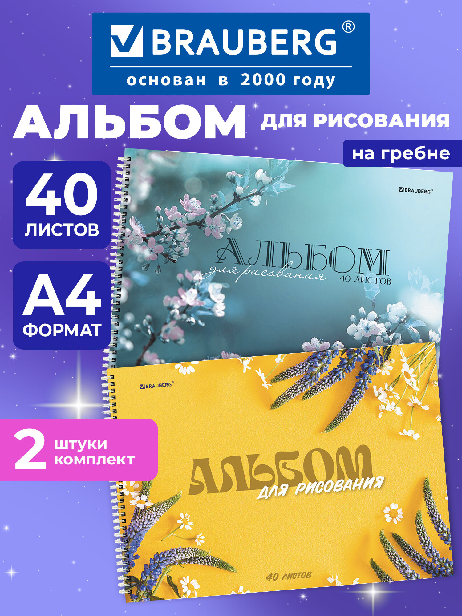 Альбом Brauberg А4 40 лист. 2 шт. - фото 1