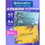 Альбом Brauberg А4 40 лист. 2 шт.