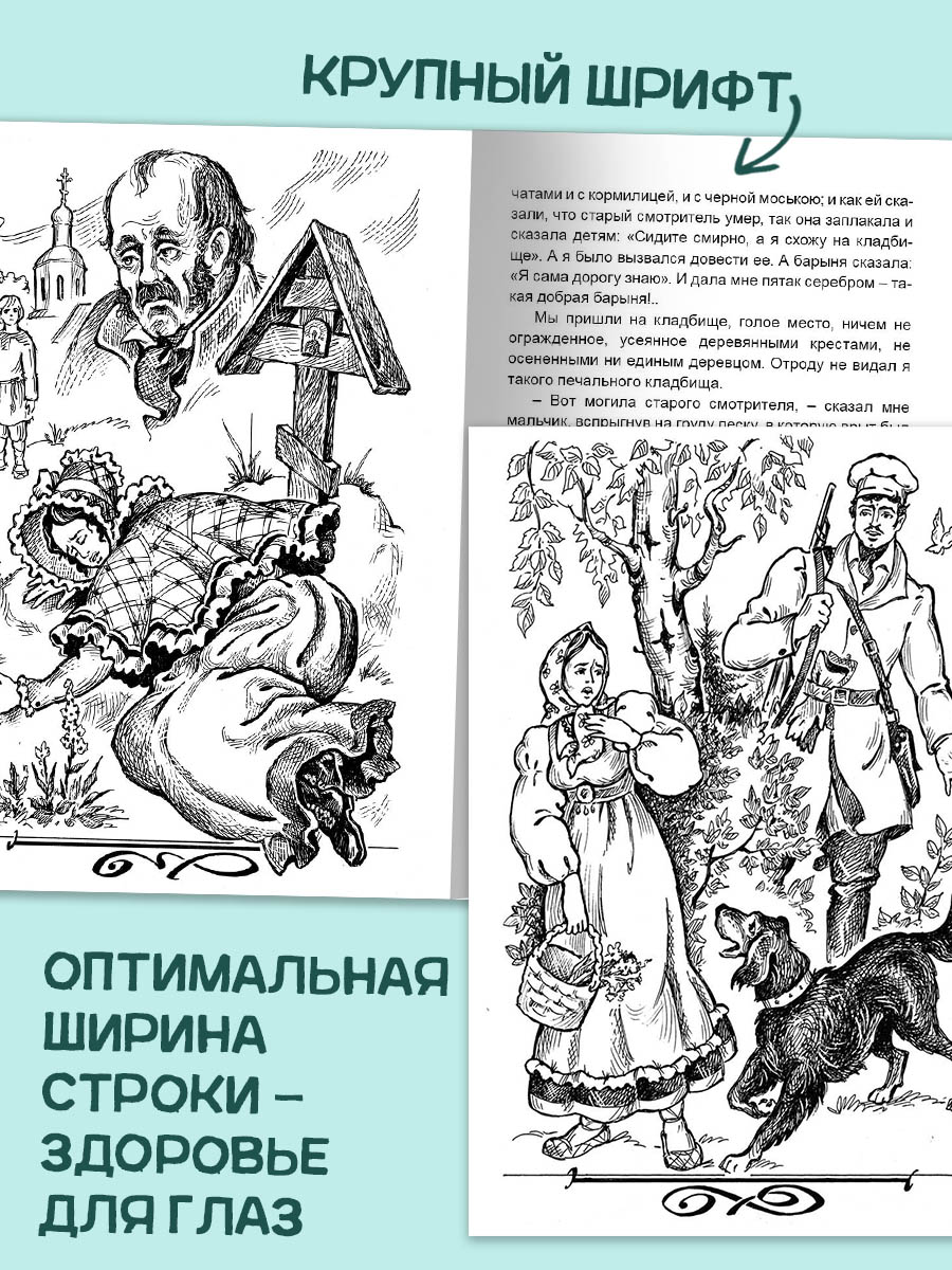 Книга Алтей «Дубровский» и «Евгений Онегин» набор 2 шт. - фото 5