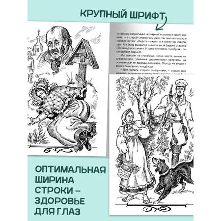 Книга Алтей «Дубровский» и «Евгений Онегин» набор 2 шт.