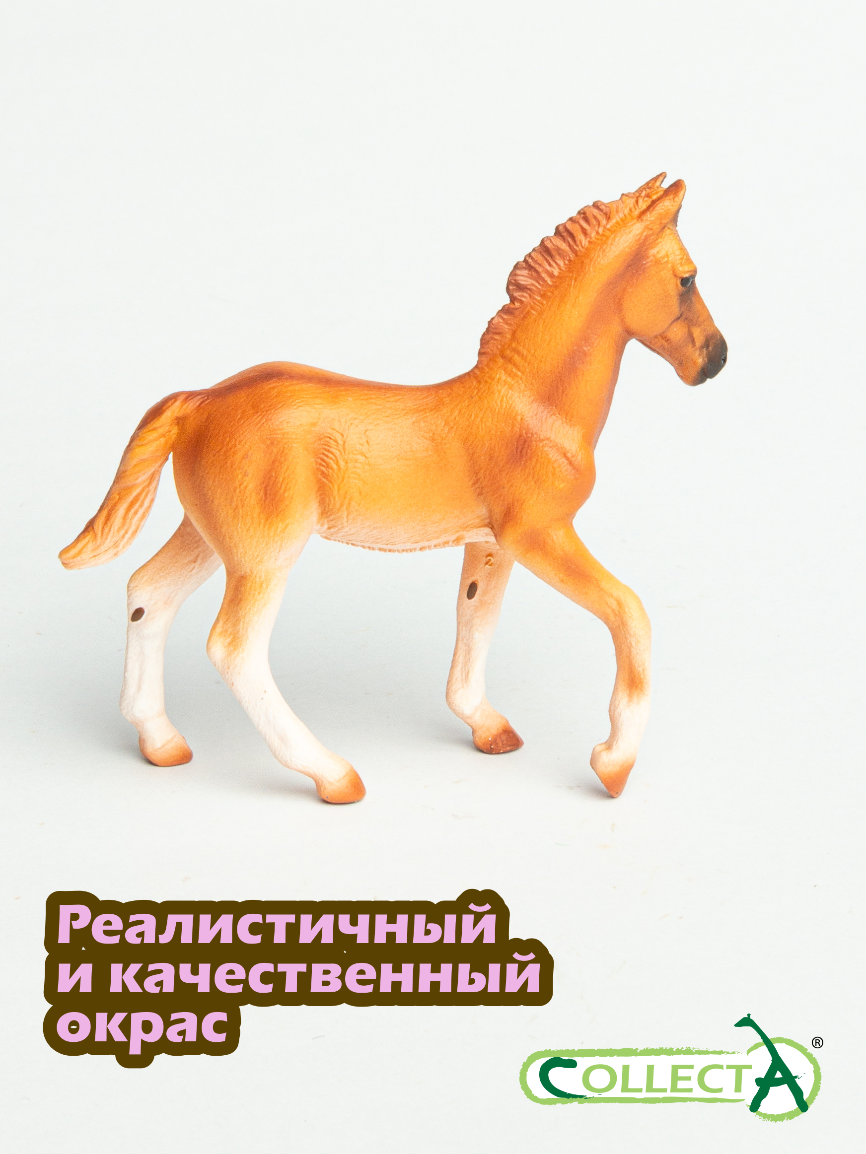 Фигурка Collecta Жеребёнок Перуанский Пасо - фото 4