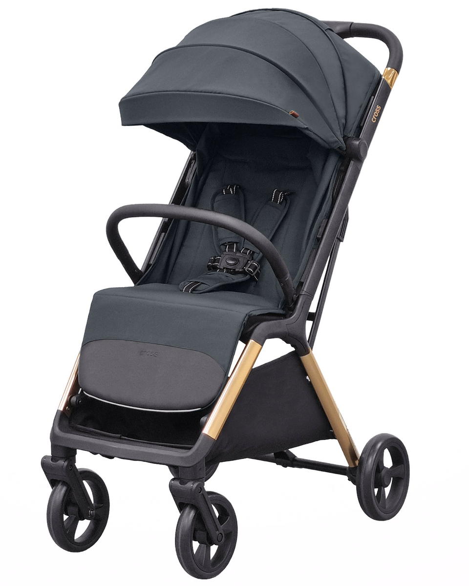 Коляска прогулочная Carrello Cross CRL-5523 серый - фото 1