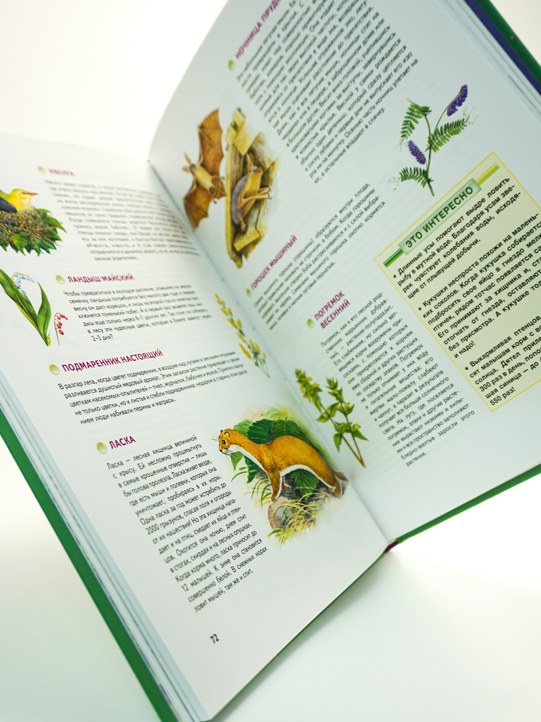 Книга Махаон Наша родина - Россия. Большой комплект из 7 книг - фото 6