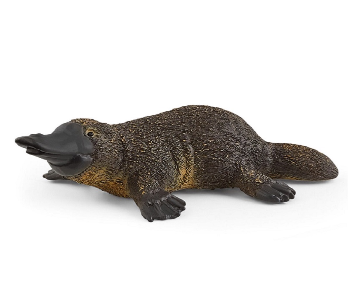 Фигурка SCHLEICH Утконос - фото 1