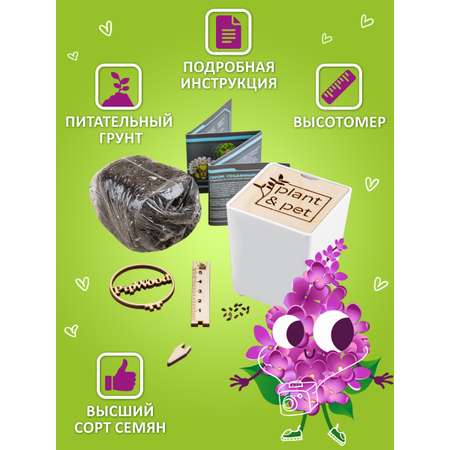 Набор для выращивания Blabar