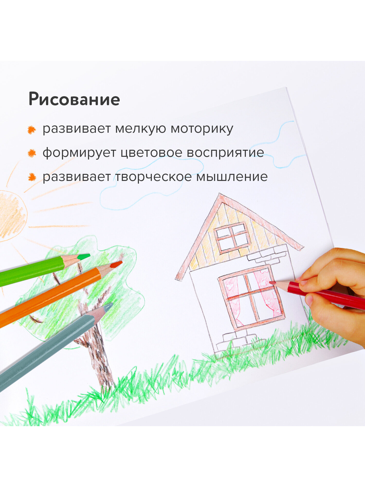 Карандаши цветные Brauberg 36 шт. - фото 6