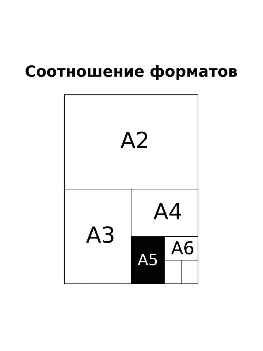 Тетрадь BG 48 лист. 12 шт. (Алгебра, Английский язык, Биология, Физика, География, Геометрия, Химия, Информатика, История, Литература, Обществознание, Русский язык) - фото 8