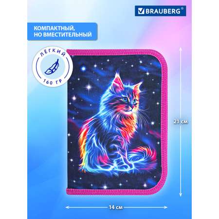 Пенал Brauberg