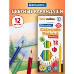 Карандаши цветные Brauberg 12 шт.