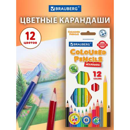 Карандаши цветные Brauberg 12 шт.