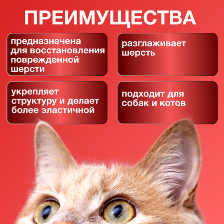 Маска для собак и котов JIN Восстановление