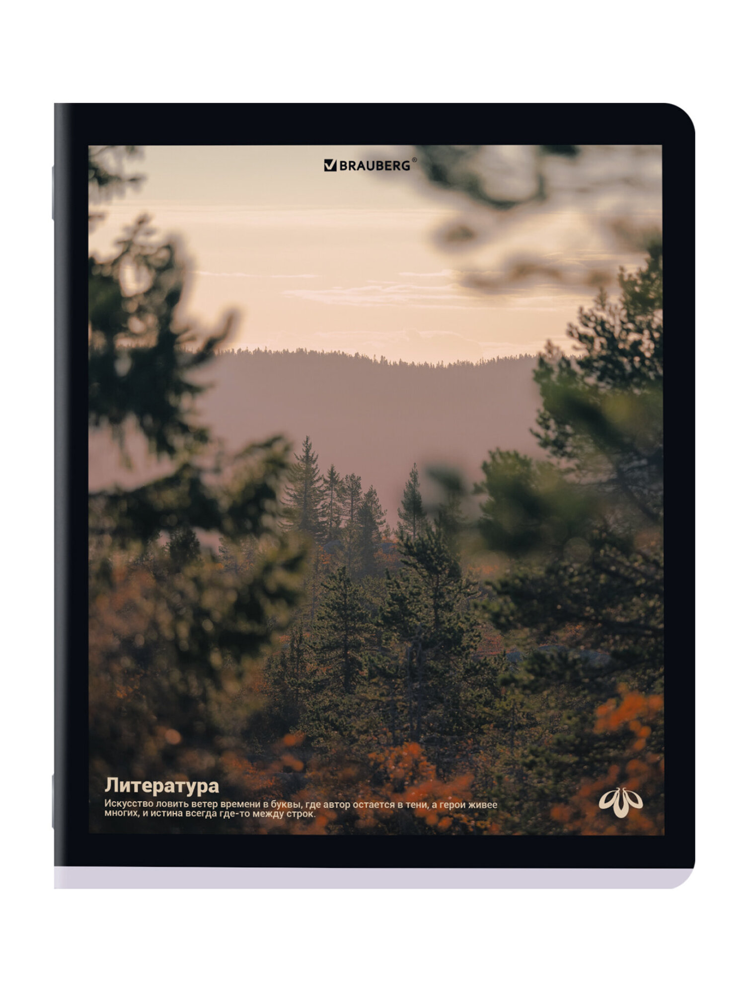 Тетрадь Brauberg 48 лист. 12 шт. - фото 15