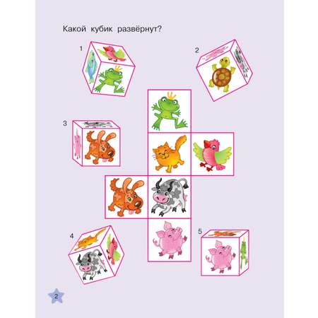 Книга АСТ Каллиграфические