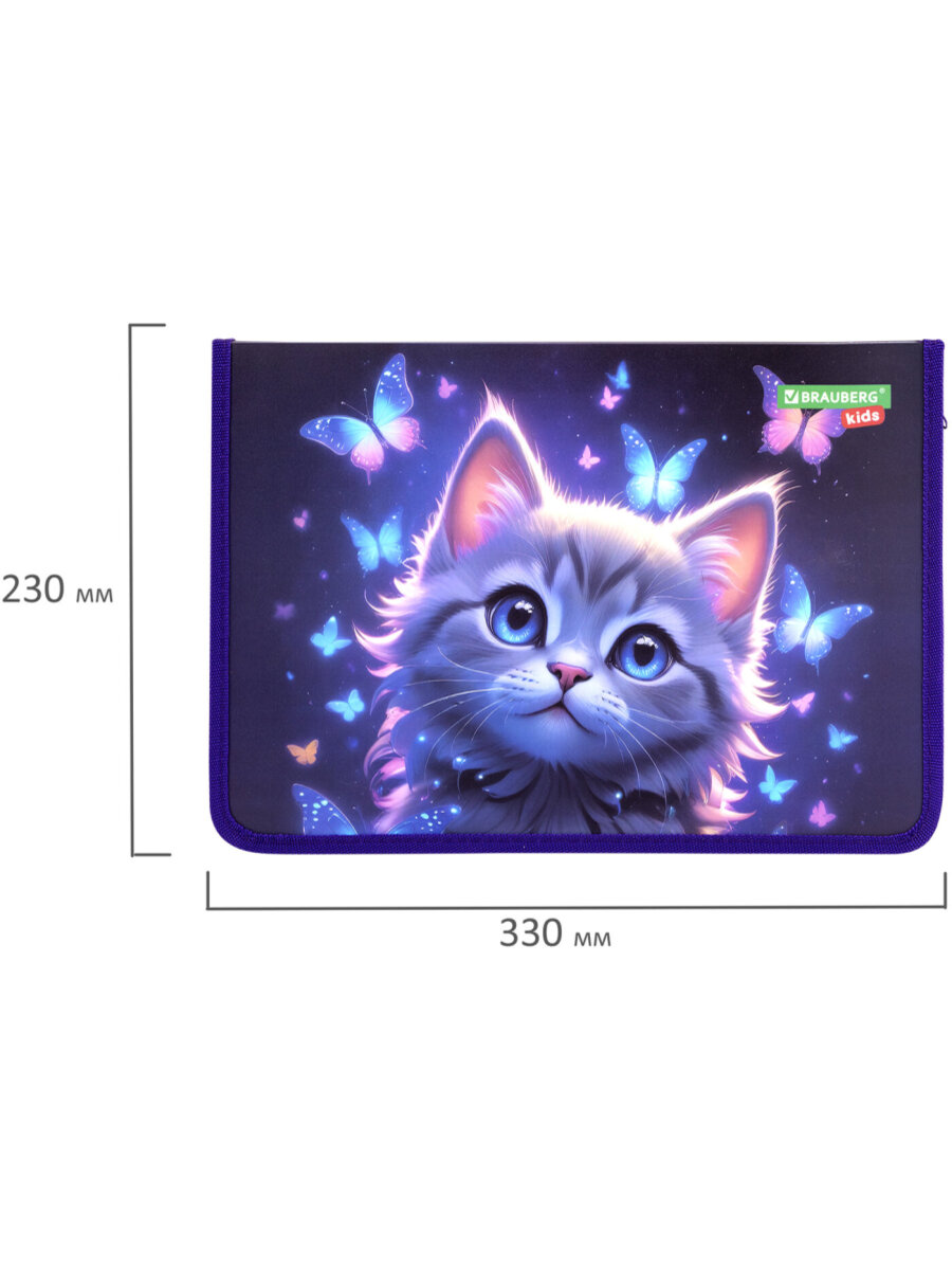 Папка для тетрадей Brauberg А4 - фото 11